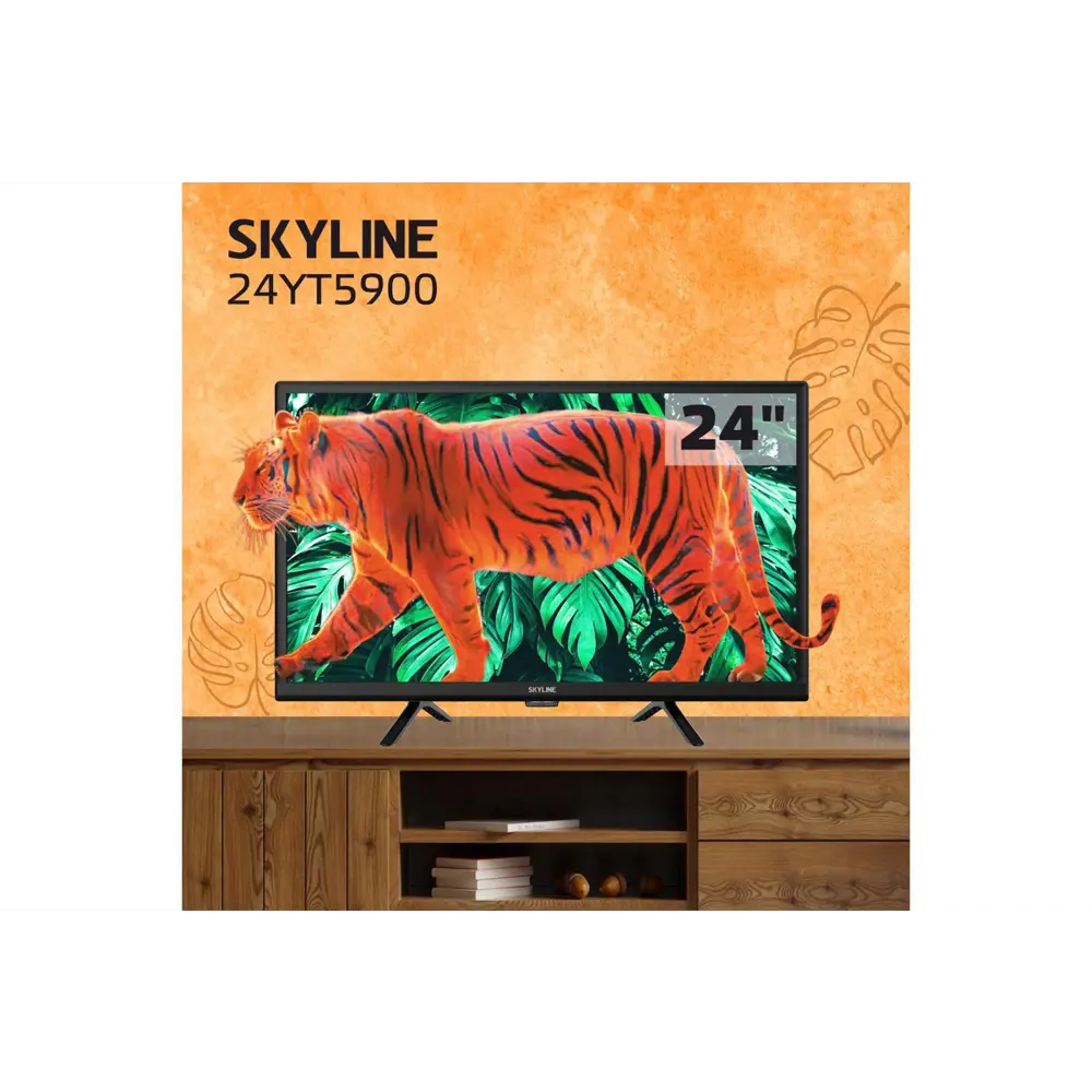 Фото Телевизор Skyline 24YT5900 24" 60 см цвет черный Фото Телевизор Skyline 24YT5900 24" 60 см цвет черный