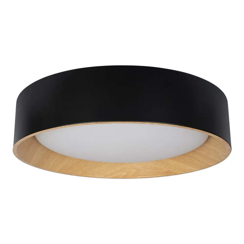 Фото 2 Светильник потолочный светодиодный LOFT IT 10202 Black Coin 9 м² нейтральный белый свет цвет белый Фото 2 Светильник потолочный светодиодный LOFT IT 10202 Black Coin 9 м² нейтральный белый свет цвет белый