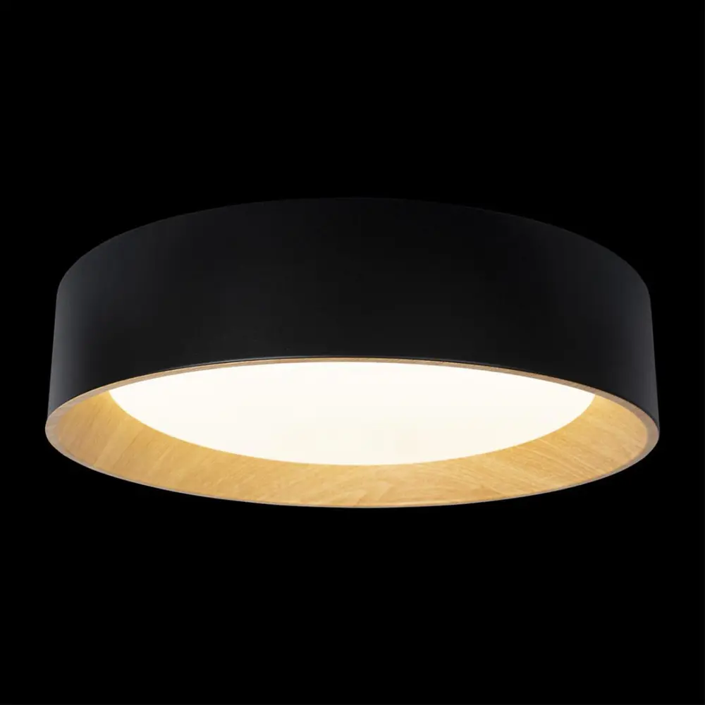 Фото 3 Светильник потолочный светодиодный LOFT IT 10202 Black Coin 9 м² нейтральный белый свет цвет белый Фото 3 Светильник потолочный светодиодный LOFT IT 10202 Black Coin 9 м² нейтральный белый свет цвет белый