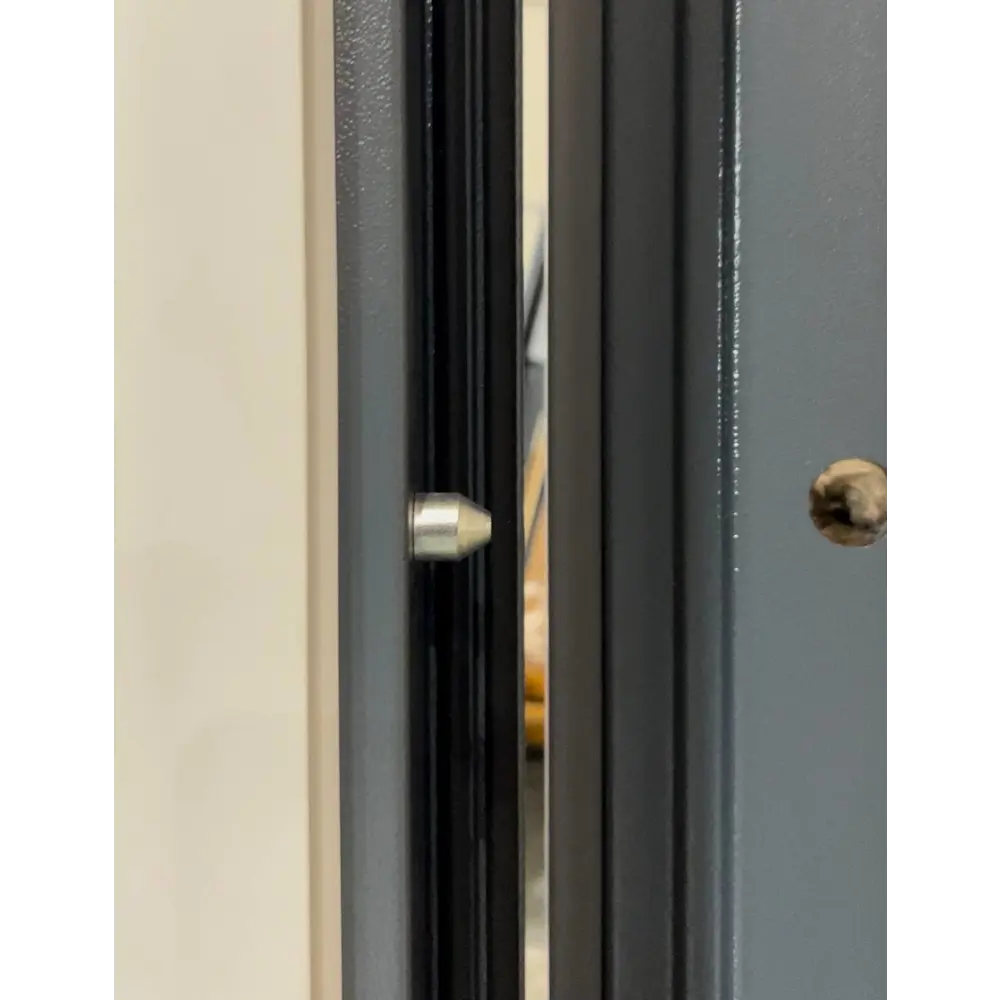 Фото 6 Входная дверь Diva ДХ-38 205x96см левый ясень графит/Д11 силк маус