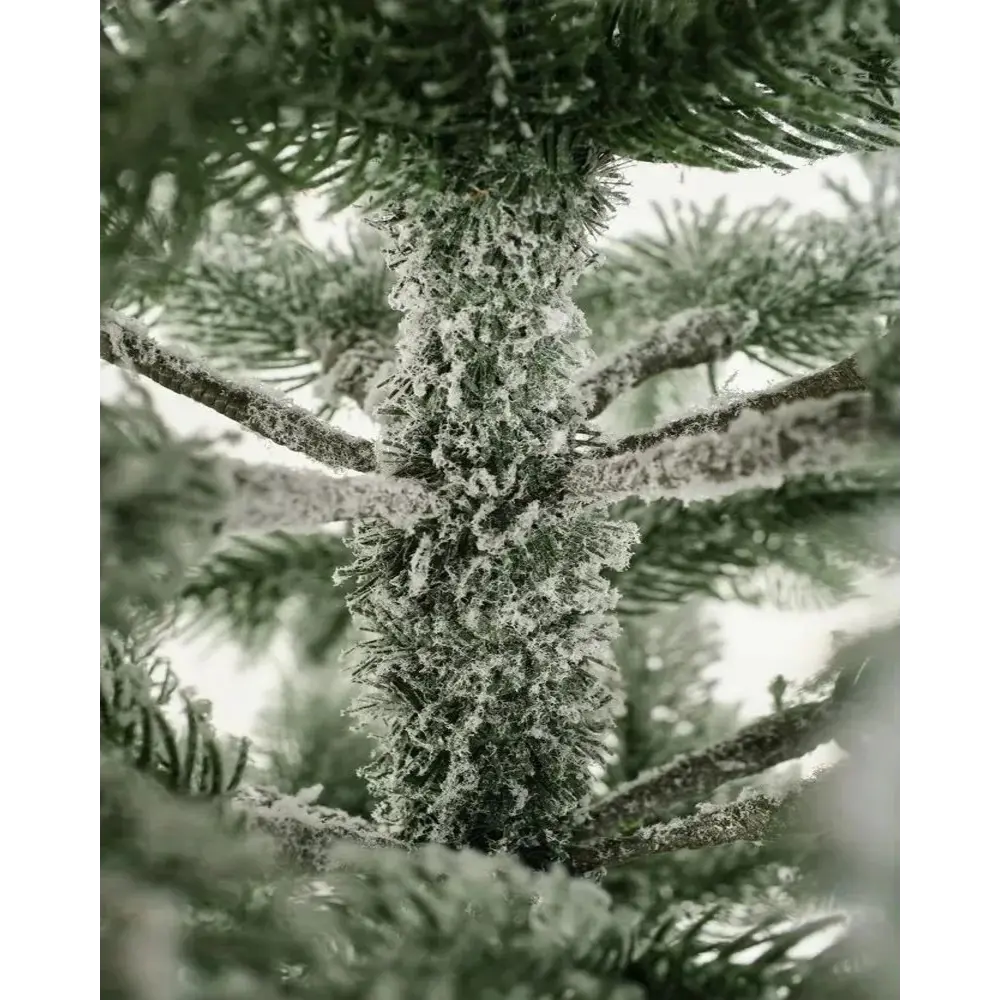 Фото 6 Ель новогодняя искусственная National tree company ЭВ/ЗСН-180 Эверест стройная заснеженная 108 см Фото 6 Ель новогодняя искусственная National tree company ЭВ/ЗСН-180 Эверест стройная заснеженная 108 см