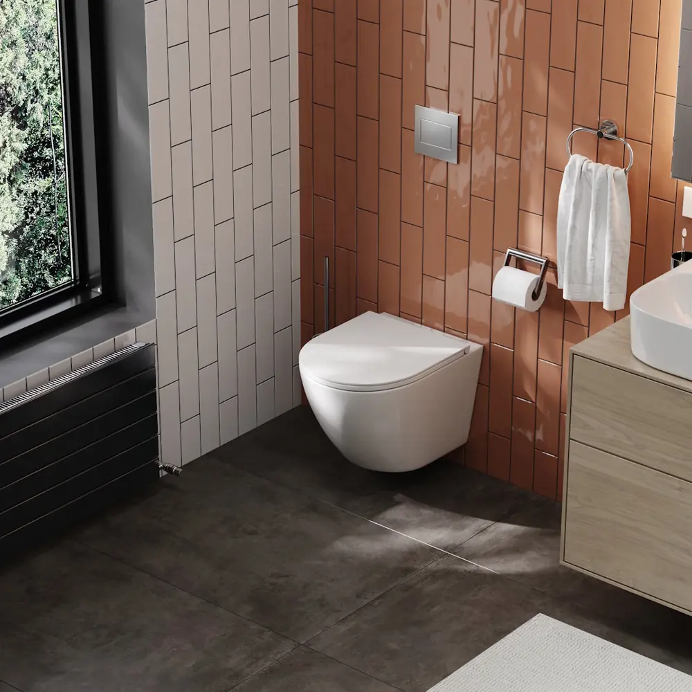 Фото 3 Унитаз подвесной Teymi T40102 без ободка с микролифтом Фото 3 Унитаз подвесной Teymi T40102 без ободка с микролифтом