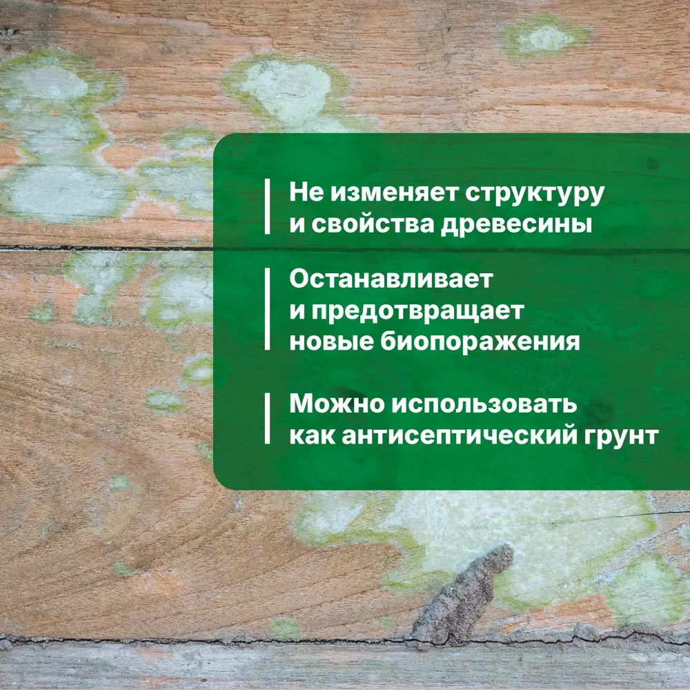 Фото 3 Антисептик PROSEPT 025-10 против грибка и плесени 10 л Фото 3 Антисептик PROSEPT 025-10 против грибка и плесени 10 л