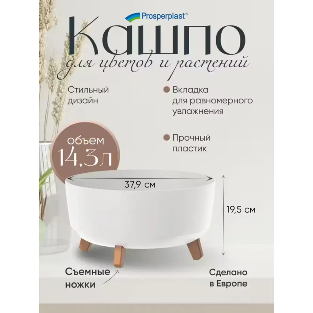 Фото 3 Кашпо Gracia low Prosperplast d 38 см 19 см 14.3 л полипропилен белый на ножках Фото 3 Кашпо Gracia low Prosperplast d 38 см 19 см 14.3 л полипропилен белый на ножках