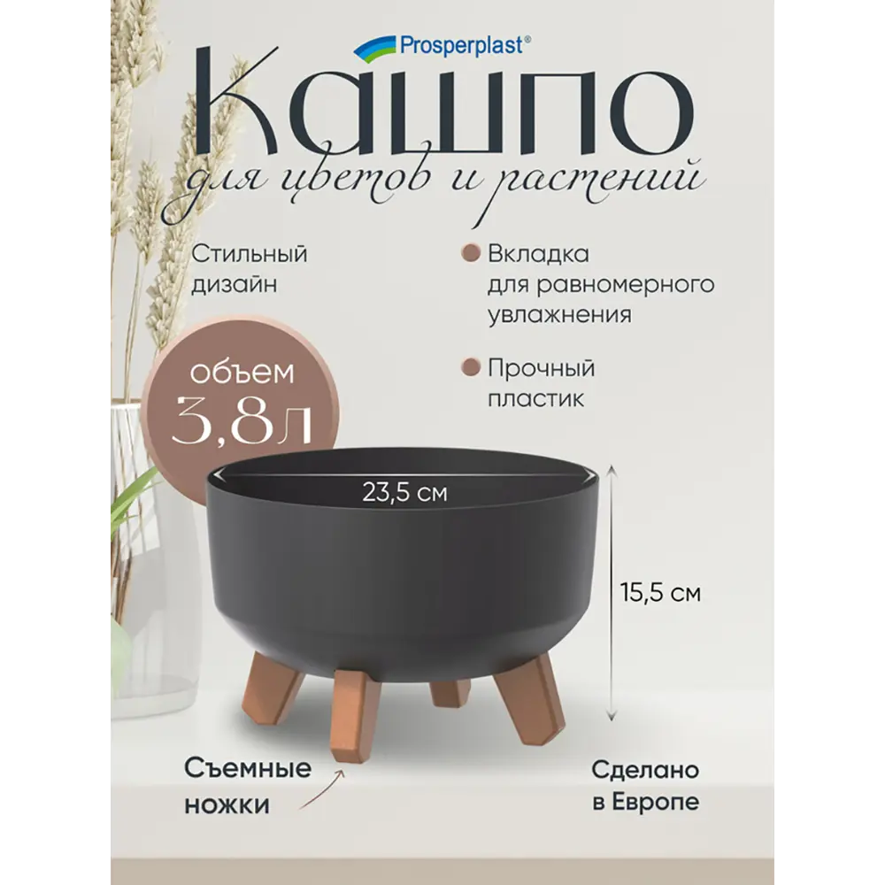 Фото 5 Кашпо Gracia low Prosperplast d 23 см 15 см 3.8 л полипропилен черный на ножках Фото 5 Кашпо Gracia low Prosperplast d 23 см 15 см 3.8 л полипропилен черный на ножках