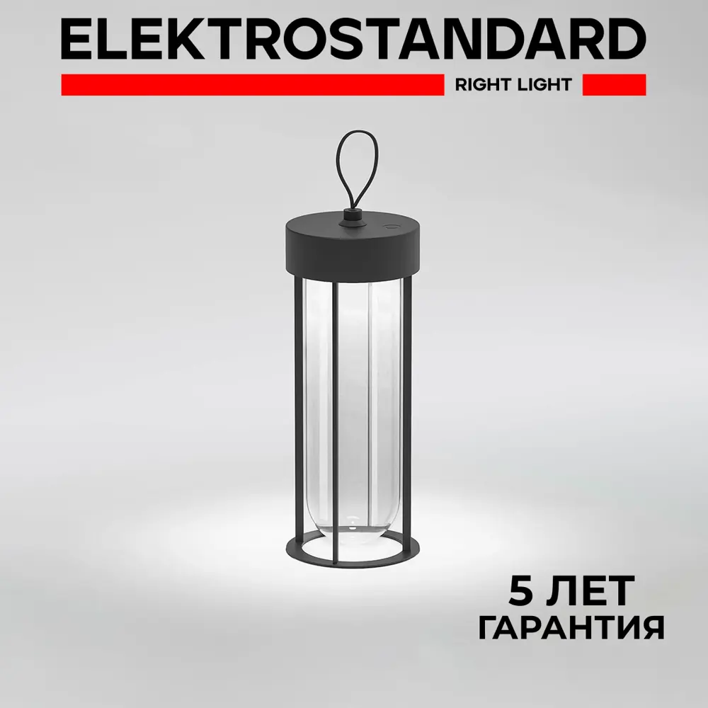 Фото Светильник уличный подвесной светодиодный Elektrostandard Ritz A068270 IP54 цвет прозрачный, черный