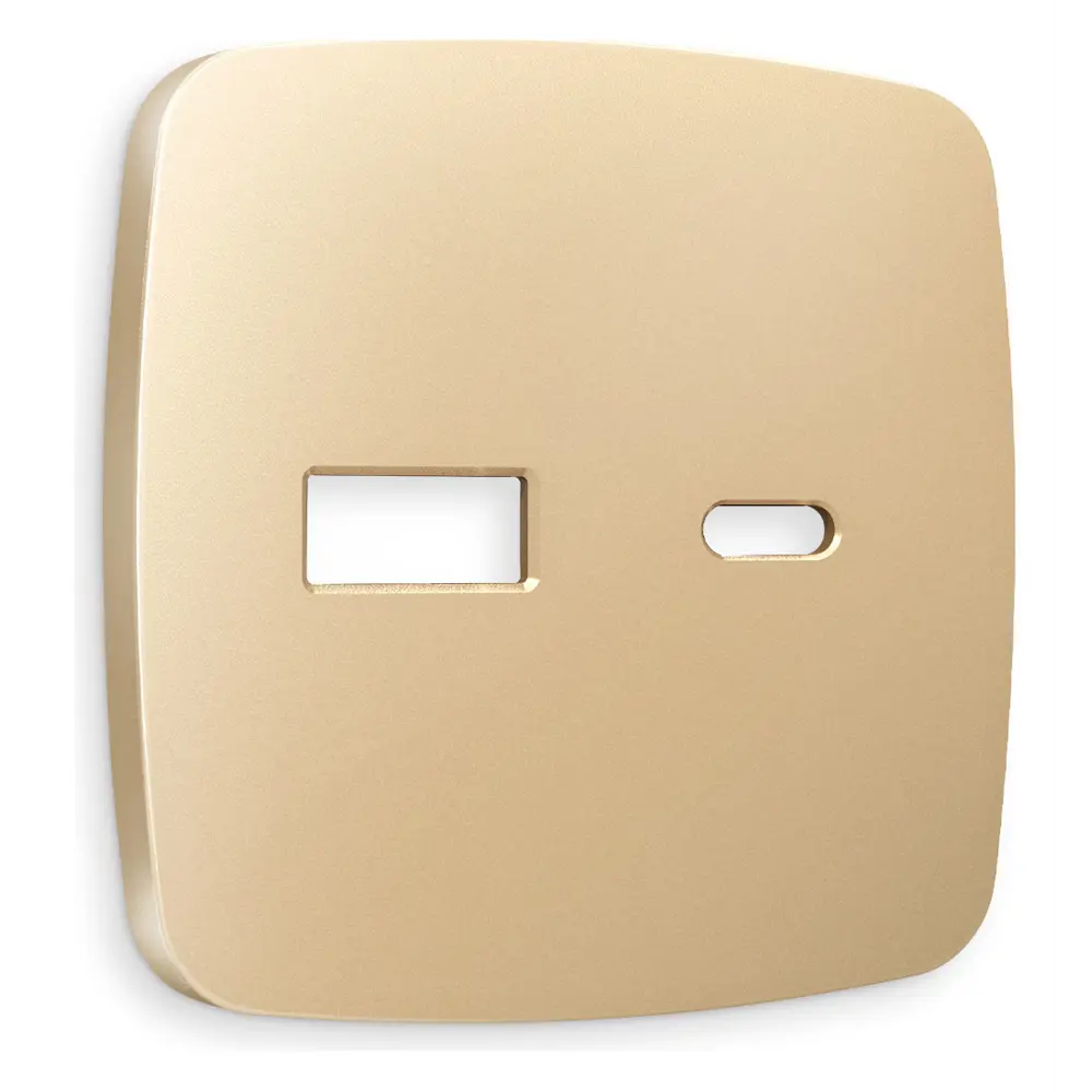 Фото Накладка для розетки 2USB тип A+C Ambrella volt Omega OP6110 цвет шампань Фото Накладка для розетки 2USB тип A+C Ambrella volt Omega OP6110 цвет шампань