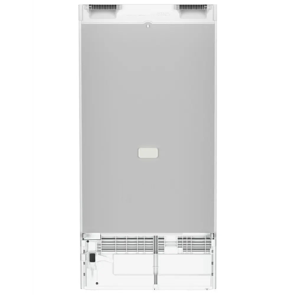 Фото 9 Отдельностоящий холодильник Liebherr Rd 4200-22 001, белый 59.7x125.5 см цвет белый Фото 9 Отдельностоящий холодильник Liebherr Rd 4200-22 001, белый 59.7x125.5 см цвет белый