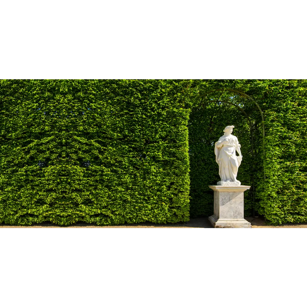 Фото 3 Фотосетка для забора Art Парковая скульптура 320x155см Фото 3 Фотосетка для забора Art Парковая скульптура 320x155см