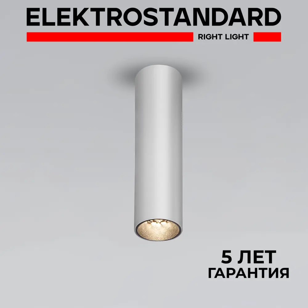 Фото Светильник точечный светодиодный накладной Elektrostandard 25031/LED Pika 1 м² нейтральный белый свет цвет серебро Фото Светильник точечный светодиодный накладной Elektrostandard 25031/LED Pika 1 м² нейтральный белый свет цвет серебро