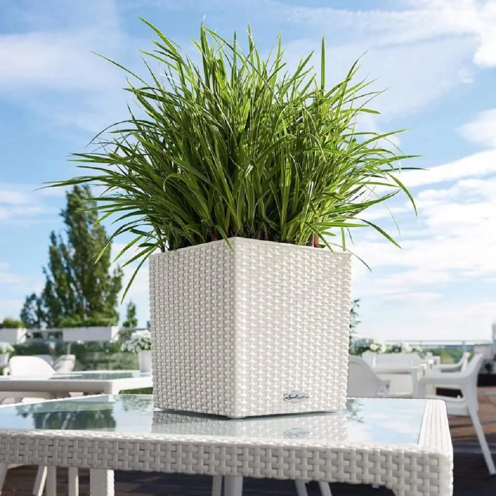Фото 6 Кашпо напольное с автополивом Lechuza Cube Cottage 30 15376 12 л Фото 6 Кашпо напольное с автополивом Lechuza Cube Cottage 30 15376 12 л