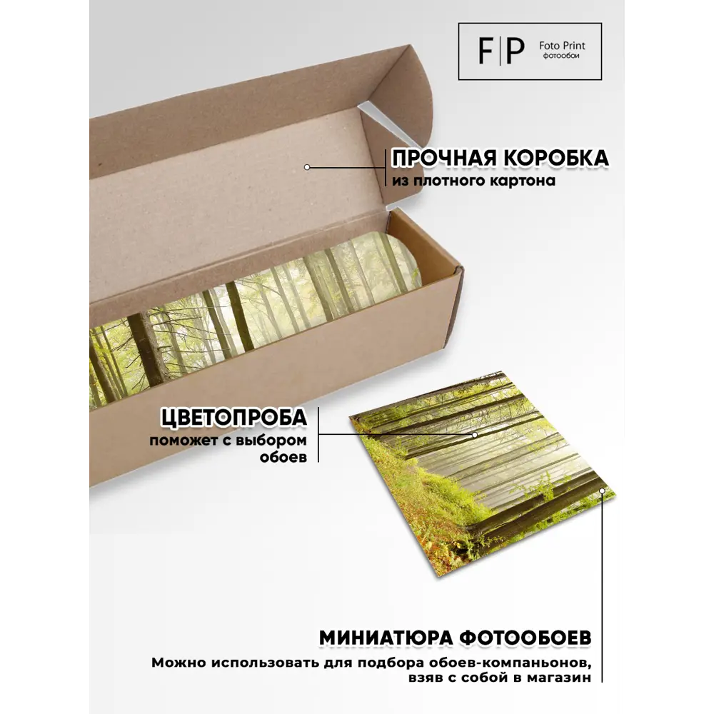 Фото 3 Фотообои Foto Print Утренний лес 02-060-А-4-2.7, 270x400 см Фото 3 Фотообои Foto Print Утренний лес 02-060-А-4-2.7, 270x400 см