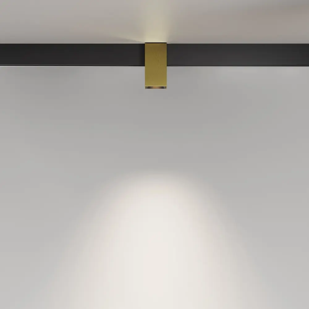 Фото 4 Трековый светильник спот светодиодный Technical Tr121-4-7w-ds-bs 7 Вт магнитный теплый белый (желтый) свет цвет жёлтый/золотой Фото 4 Трековый светильник спот светодиодный Technical Tr121-4-7w-ds-bs 7 Вт магнитный теплый белый (желтый) свет цвет жёлтый/золотой
