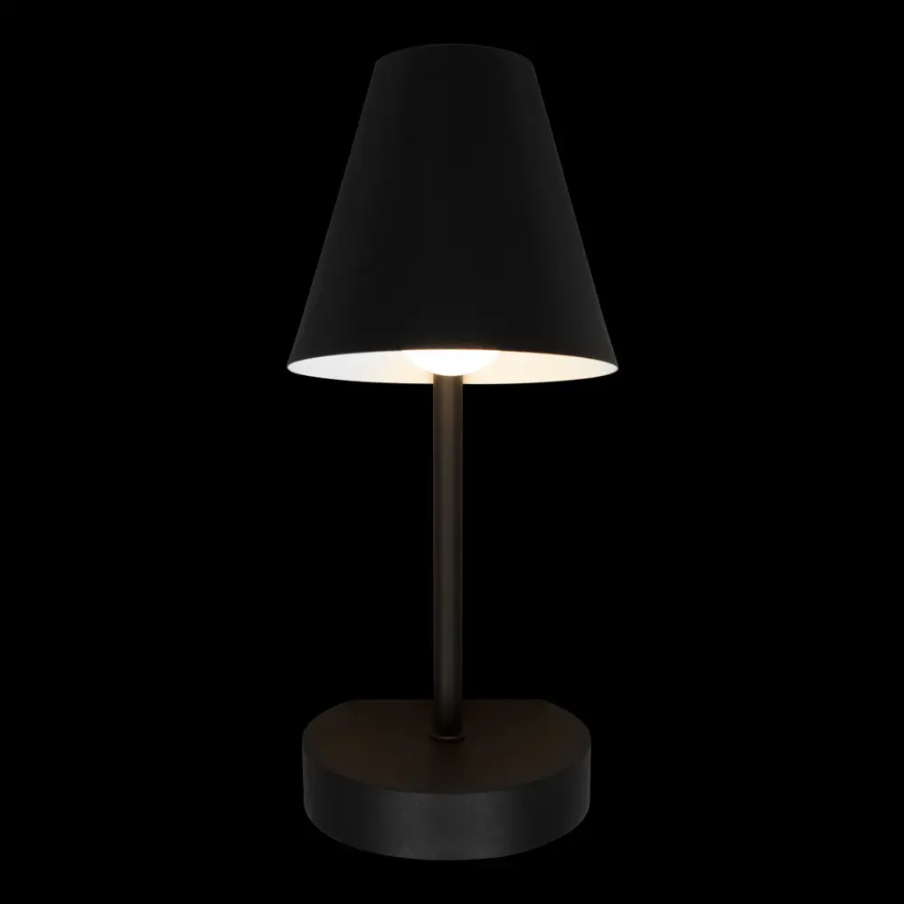 Фото 4 Настенный светильник Loft It Shelf 10216-1w black цвет черный Фото 4 Настенный светильник Loft It Shelf 10216-1w black цвет черный