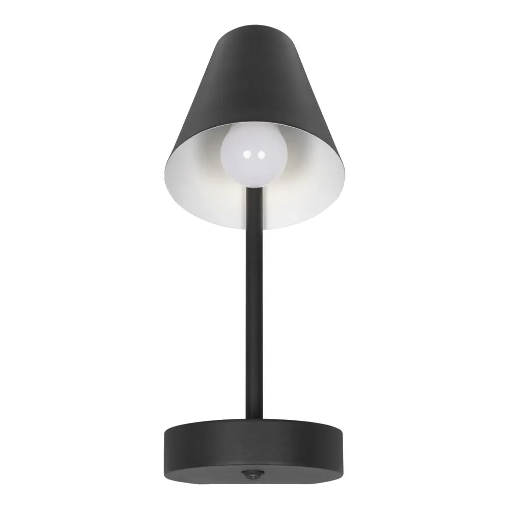 Фото Настенный светильник Loft It Shelf 10216-1w black цвет черный Фото Настенный светильник Loft It Shelf 10216-1w black цвет черный