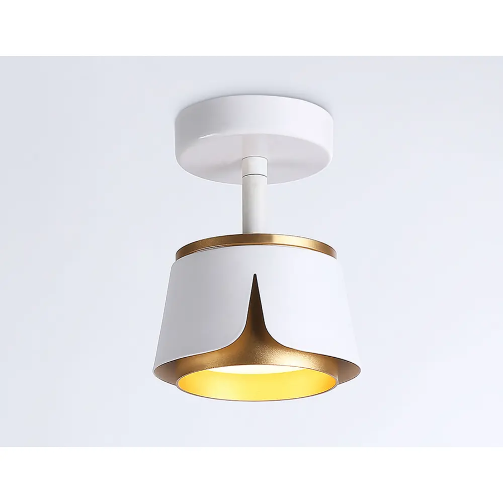 Фото 6 Светильник точечный накладной Ambrella light Techno spot TN71224 GX53 цвет белый Фото 6 Светильник точечный накладной Ambrella light Techno spot TN71224 GX53 цвет белый