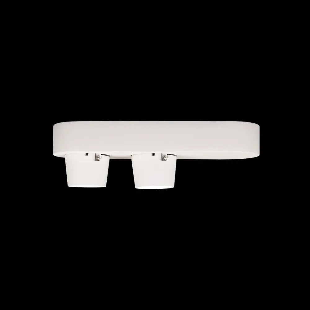 Фото 4 Светильник точечный накладной светодиодный Loft It Quiet 10320-2 white 14 Вт холодный белый (голубой) свет цвет белый Фото 4 Светильник точечный накладной светодиодный Loft It Quiet 10320-2 white 14 Вт холодный белый (голубой) свет цвет белый
