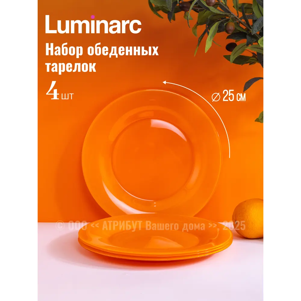 Фото 2 Столовый сервиз Luminarc Q1990-16ECOM 16 предметов 4 персон стекло цвет разноцветный Фото 2 Столовый сервиз Luminarc Q1990-16ECOM 16 предметов 4 персон стекло цвет разноцветный