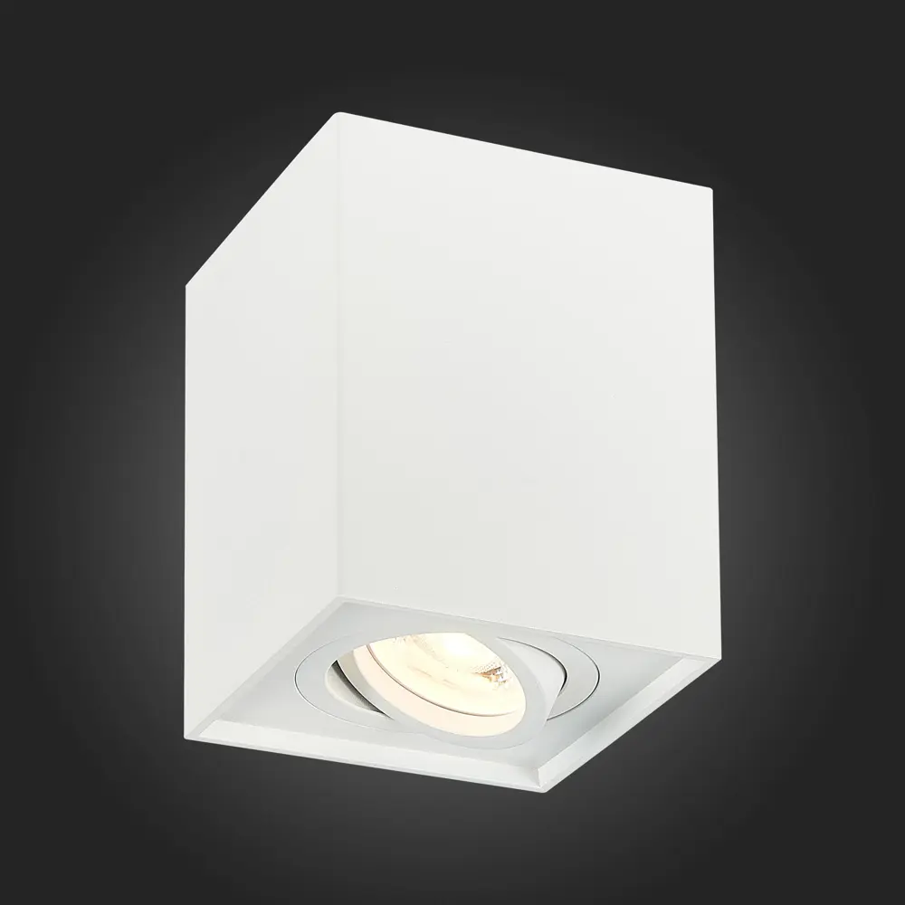 Фото 2 Светильник точечный накладной St Luce St109 GU10 цвет белый Фото 2 Светильник точечный накладной St Luce St109 GU10 цвет белый