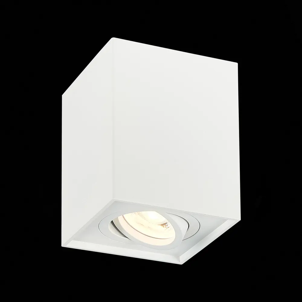 Фото Светильник точечный накладной St Luce St109 GU10 цвет белый Фото Светильник точечный накладной St Luce St109 GU10 цвет белый