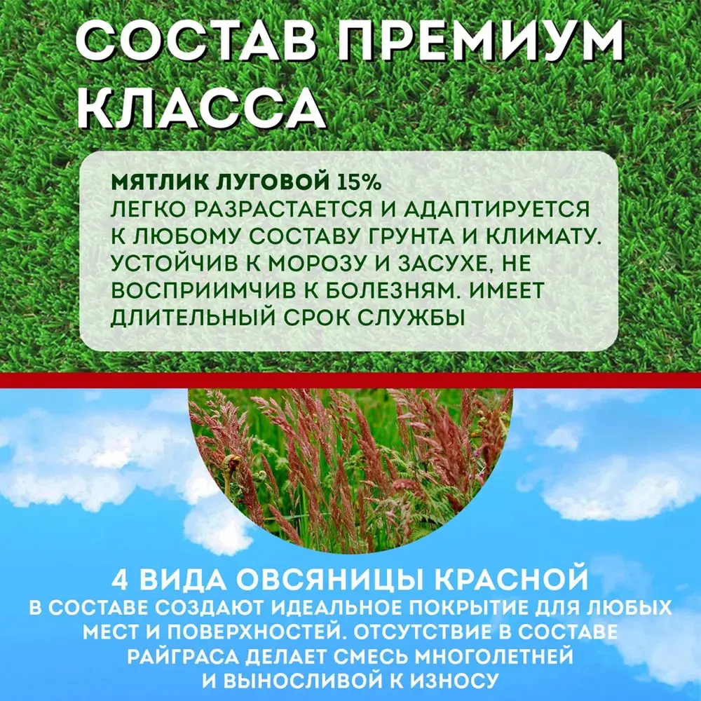 Фото 4 Семена для газона Лилипут 4607160331379 0.5 кг Фото 4 Семена для газона Лилипут 4607160331379 0.5 кг