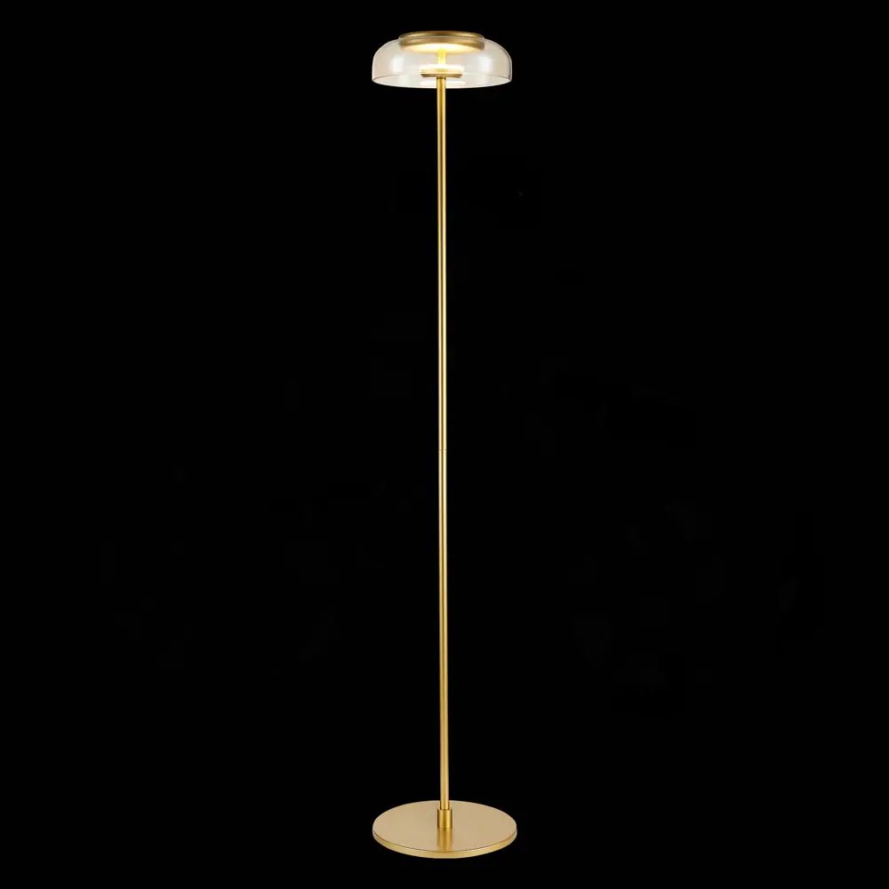 Фото Торшер светодиодный St Luce Sl6002.205.01 нейтральный белый свет цвет жёлтый/золотой Фото Торшер светодиодный St Luce Sl6002.205.01 нейтральный белый свет цвет жёлтый/золотой