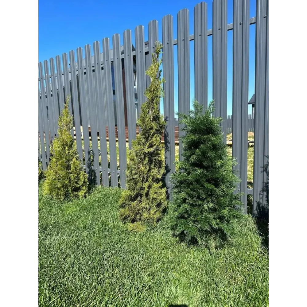 Фото 3 Искусственное дерево Туя Crystal Trees ТУ-60 60 см Фото 3 Искусственное дерево Туя Crystal Trees ТУ-60 60 см