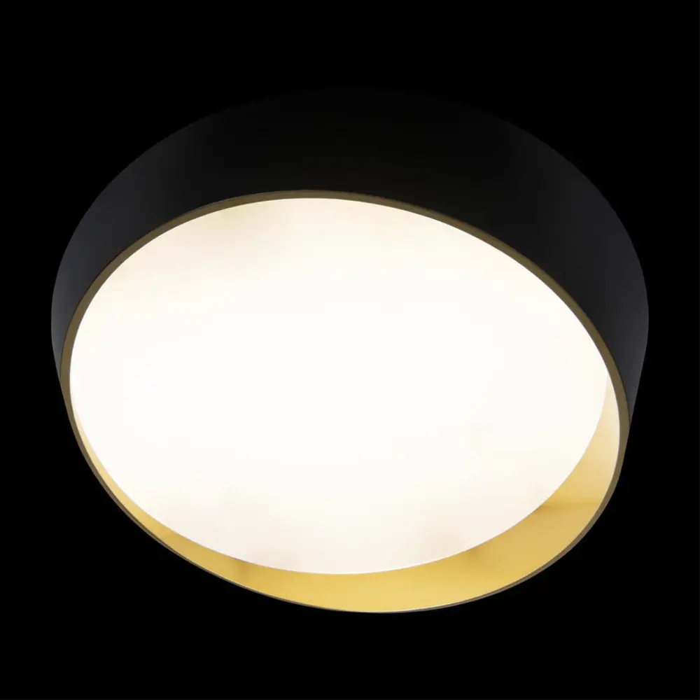 Фото 7 Светильник потолочный светодиодный LOFT IT 10199 Black Coin 8 м² нейтральный белый свет цвет белый Фото 7 Светильник потолочный светодиодный LOFT IT 10199 Black Coin 8 м² нейтральный белый свет цвет белый