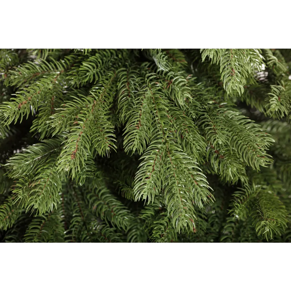 Фото 2 Искусственная ель Crystal Trees Эмили 210 см Фото 2 Искусственная ель Crystal Trees Эмили 210 см