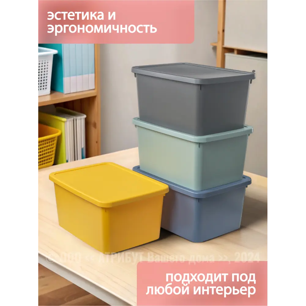 Фото 5 Контейнер для хранения HOBBY LIFE STORUM синяя 20л 42.3x31.1x20.7см с крышкой Фото 5 Контейнер для хранения HOBBY LIFE STORUM синяя 20л 42.3x31.1x20.7см с крышкой