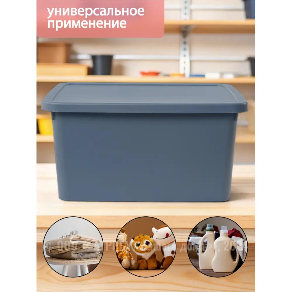 Фото 2 Контейнер для хранения HOBBY LIFE STORUM синяя 20л 42.3x31.1x20.7см с крышкой Фото 2 Контейнер для хранения HOBBY LIFE STORUM синяя 20л 42.3x31.1x20.7см с крышкой
