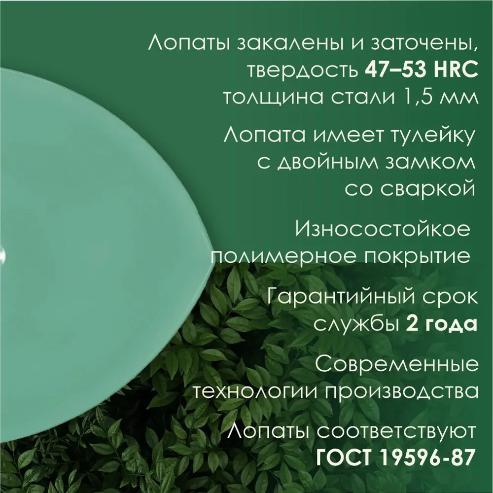 Фото 5 Лопата штыковая Грядково 22.5 см x 144 см сталь с черенком дерево Фото 5 Лопата штыковая Грядково 22.5 см x 144 см сталь с черенком дерево