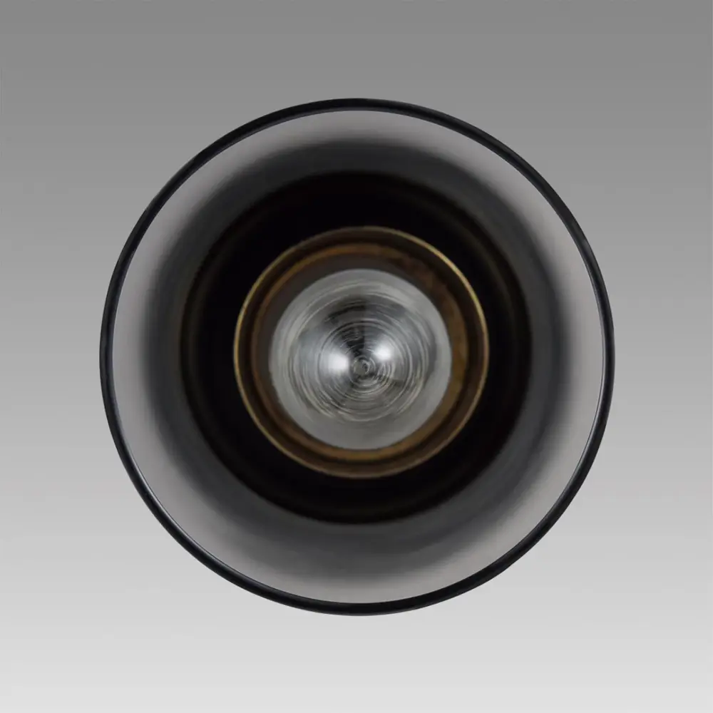 Фото Светильник подвесной Lumion Comfi 8101/1a 1 лампа 2 м² цвет черный Фото Светильник подвесной Lumion Comfi 8101/1a 1 лампа 2 м² цвет черный