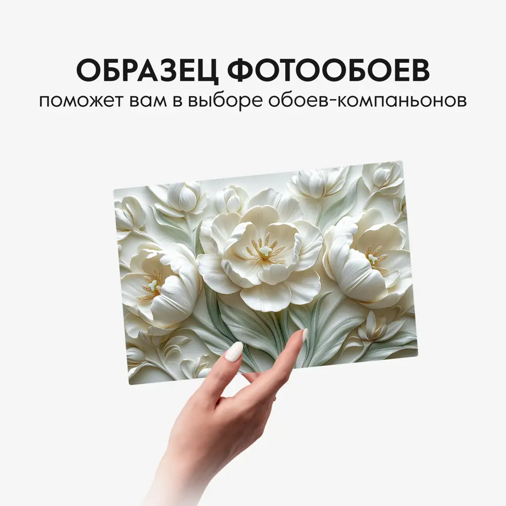 Фото 10 Фотообои Postermarket Белые тюльпаны WM-660V1, 400x270 см