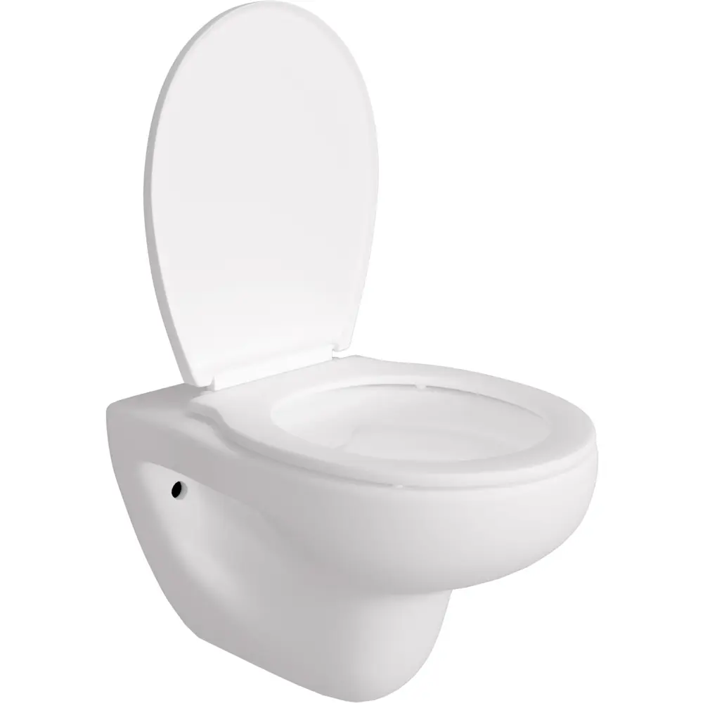 Фото 11 Инсталляция AM.PM I012709.0138 PrimeFit с клавишей слива PrimeFit L матовый черный Alentori FLUIRE 901 унитаз микролифт глянцевый белый Фото 11 Инсталляция AM.PM I012709.0138 PrimeFit с клавишей слива PrimeFit L матовый черный Alentori FLUIRE 901 унитаз микролифт глянцевый белый
