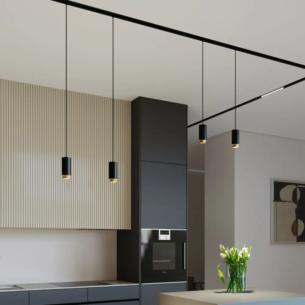 Фото 5 Трековый светильник подвесной под лампу Elektrostandard A064794 10 Вт 1 м² цвет черный Фото 5 Трековый светильник подвесной под лампу Elektrostandard A064794 10 Вт 1 м² цвет черный