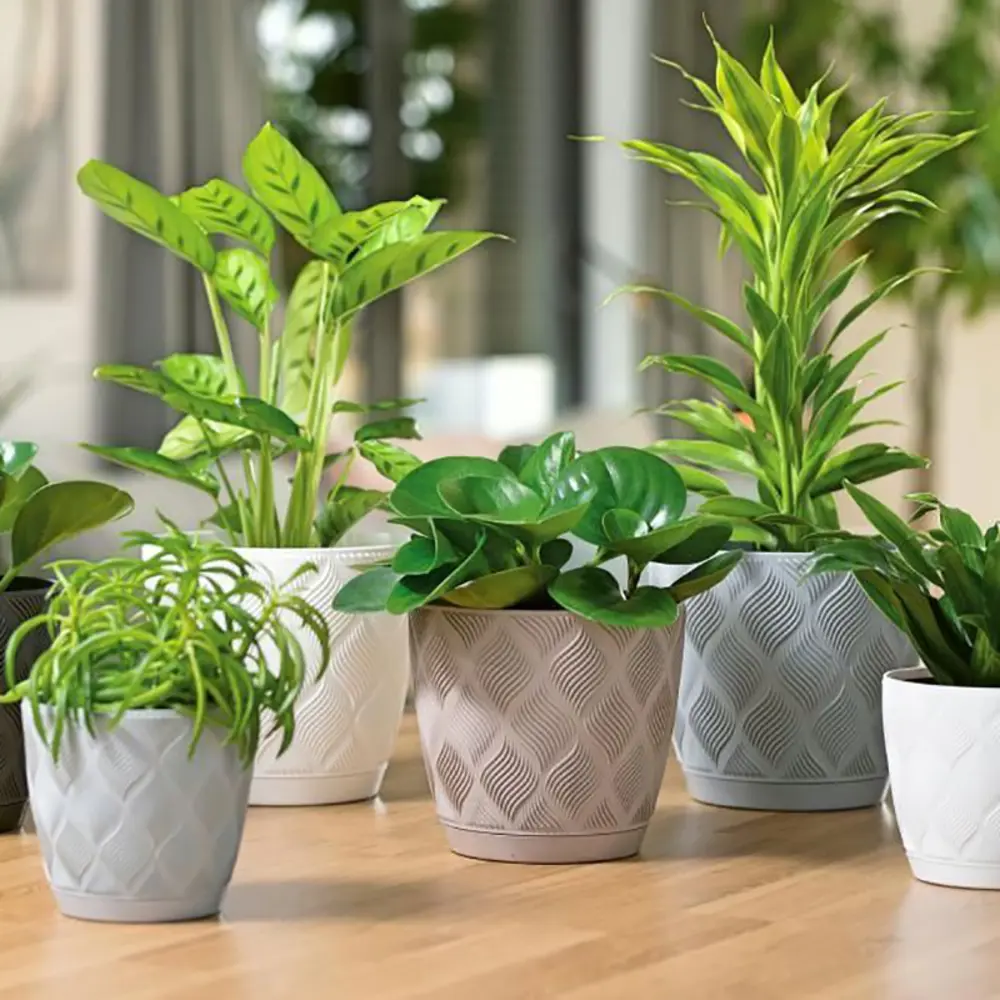 Фото 10 Горшок цветочный Flow petit Form-plastic d 19 см 18 см 3.55 л полипропилен серый/серебристый Фото 10 Горшок цветочный Flow petit Form-plastic d 19 см 18 см 3.55 л полипропилен серый/серебристый