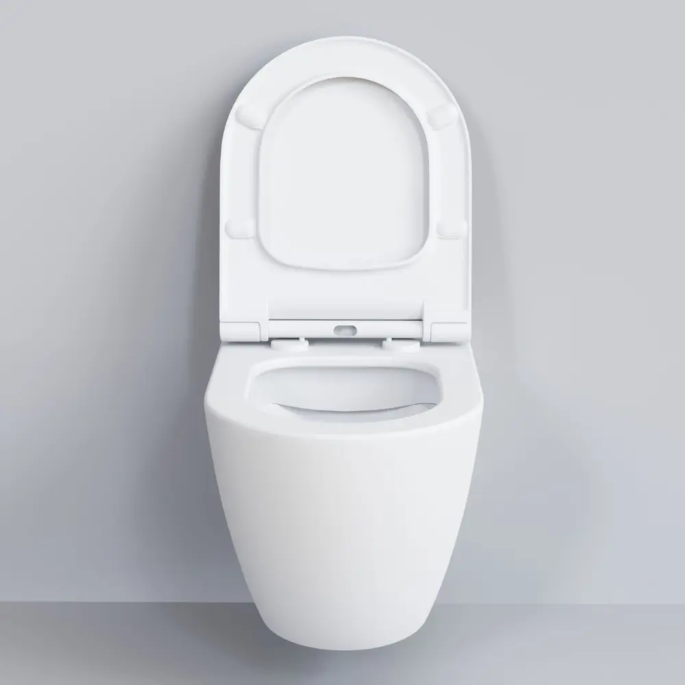 Фото 2 Унитаз подвесной Ambassador Queen 113T20101R-112T20101S безободковый с сиденьем микролифт