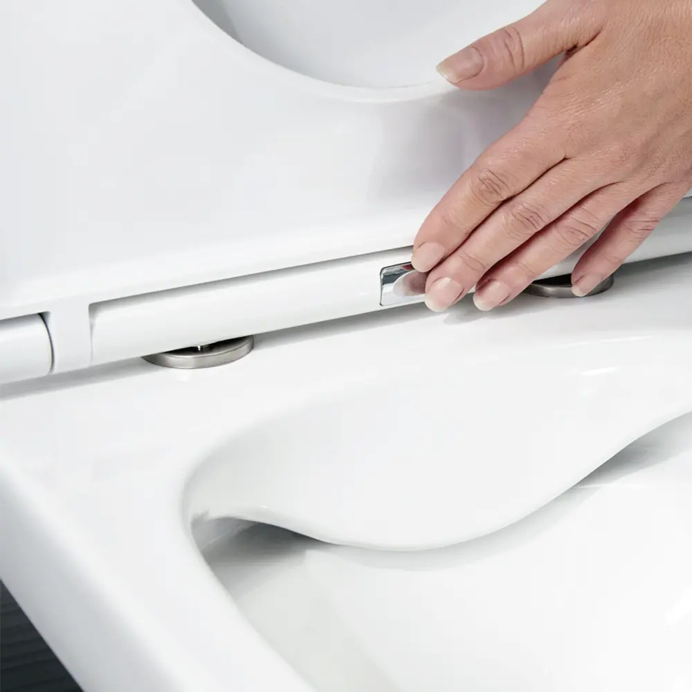 Фото 9 Комплект BAUEDGE E458103-BL0001-PRO-E00108 6 в 1: инсталляция IDEAL, унитаз безободковый Dream 49, сиденье быстросъемное микролифт, кнопка Light Фото 9 Комплект BAUEDGE E458103-BL0001-PRO-E00108 6 в 1: инсталляция IDEAL, унитаз безободковый Dream 49, сиденье быстросъемное микролифт, кнопка Light
