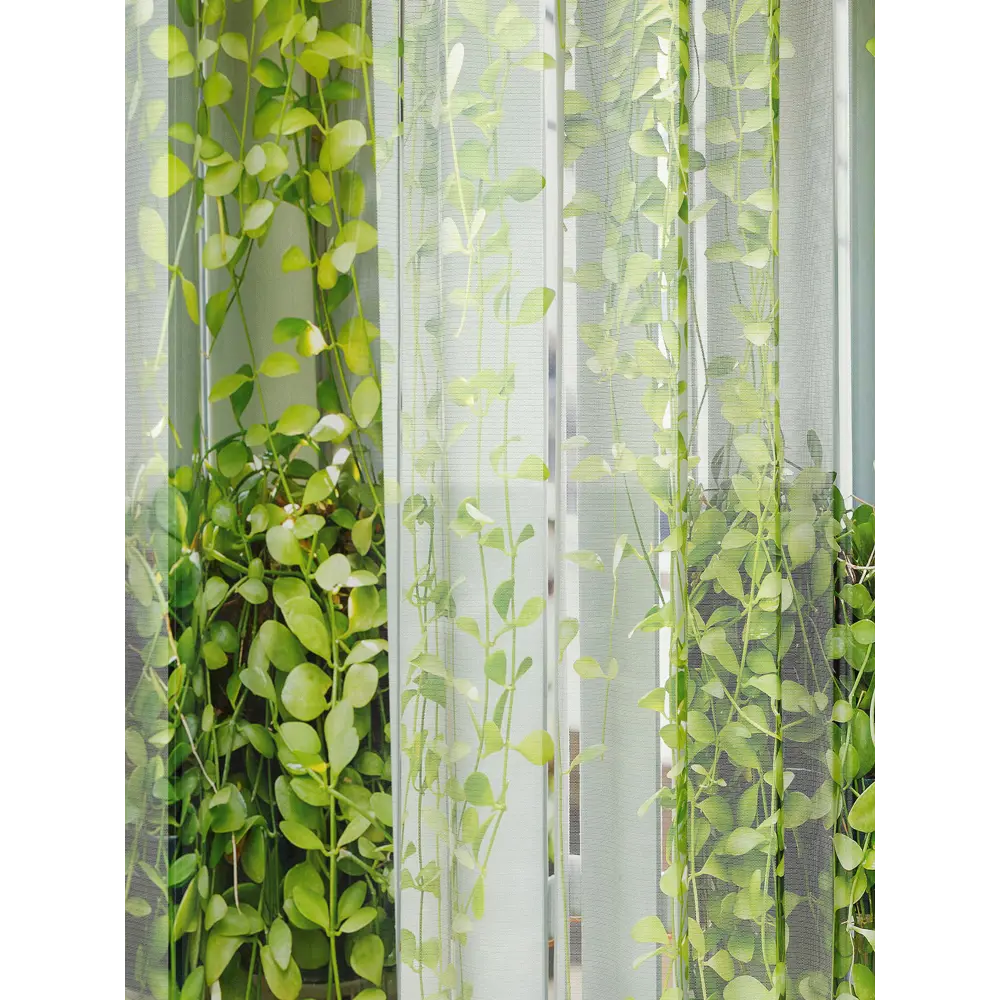 Фото 4 Тюль Comfy way Олион - 147 CW991147-250 на шторной ленте 250x450 см цвет зеленый