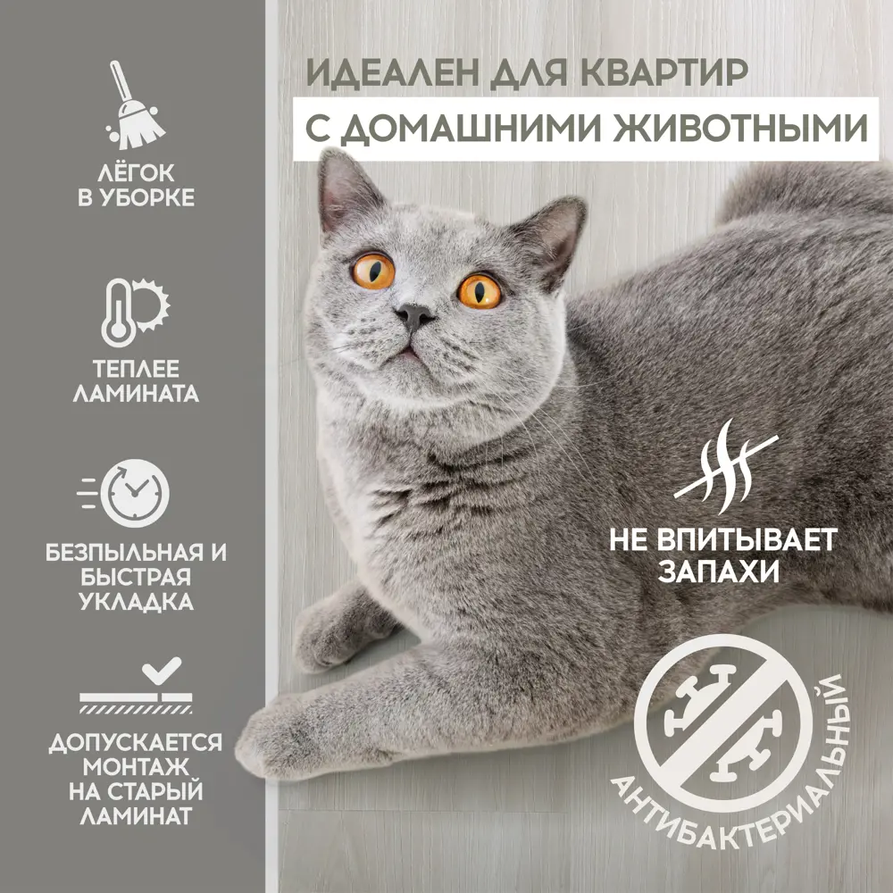 Фото 7 SPC плитка I-Floors High Дуб Джованни 43 класс толщина 4.20 мм 2.25 м², цена за упаковку Фото 7 SPC плитка I-Floors High Дуб Джованни 43 класс толщина 4.20 мм 2.25 м², цена за упаковку