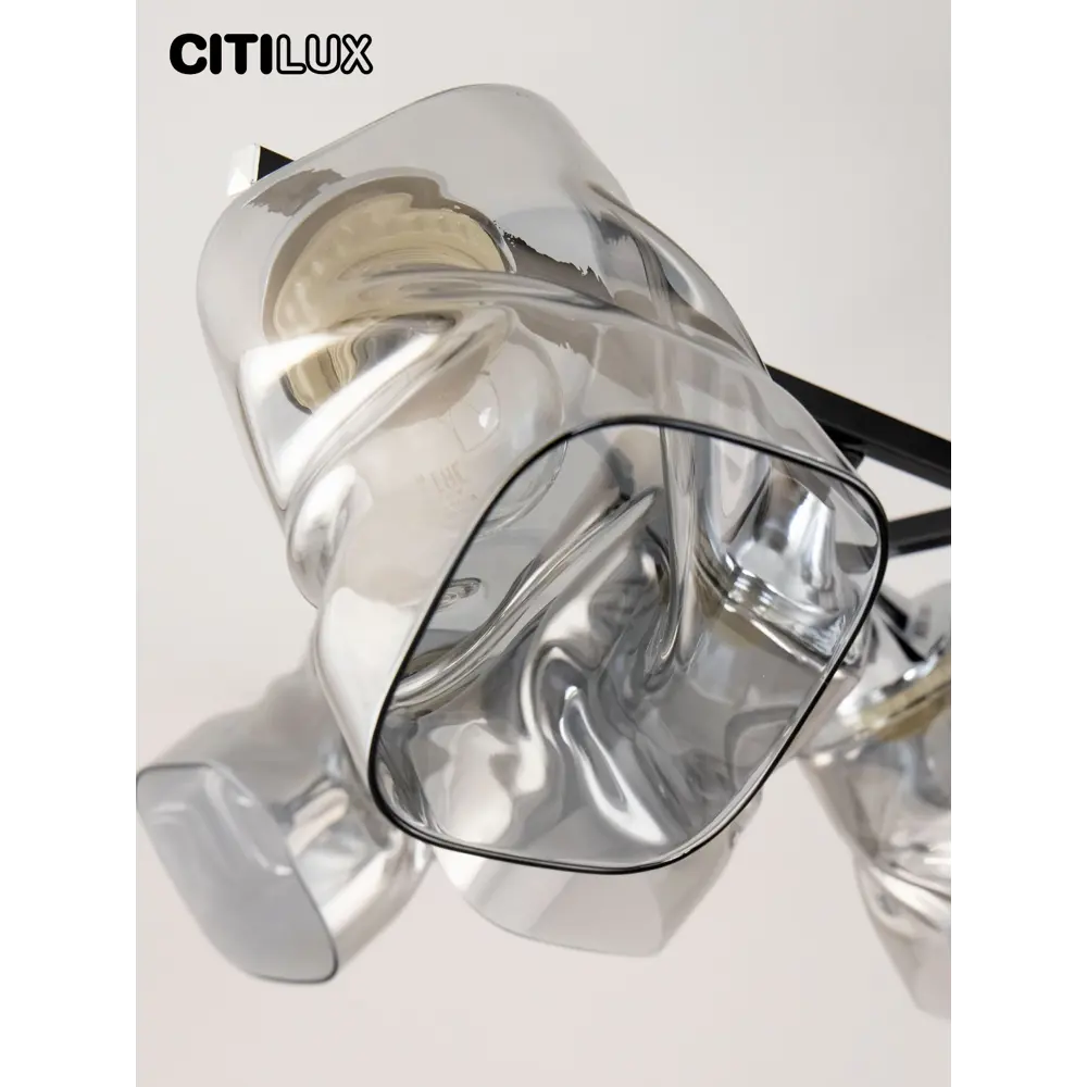 Фото 3 Люстра потолочная Citilux Cl134185 8 ламп 25 м² цвет черный