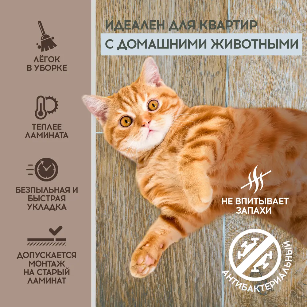 Фото 7 SPC плитка I-Floors Chamfer Дуб Ланао 43 класс толщина 4 мм 2.23 м², цена за упаковку Фото 7 SPC плитка I-Floors Chamfer Дуб Ланао 43 класс толщина 4 мм 2.23 м², цена за упаковку