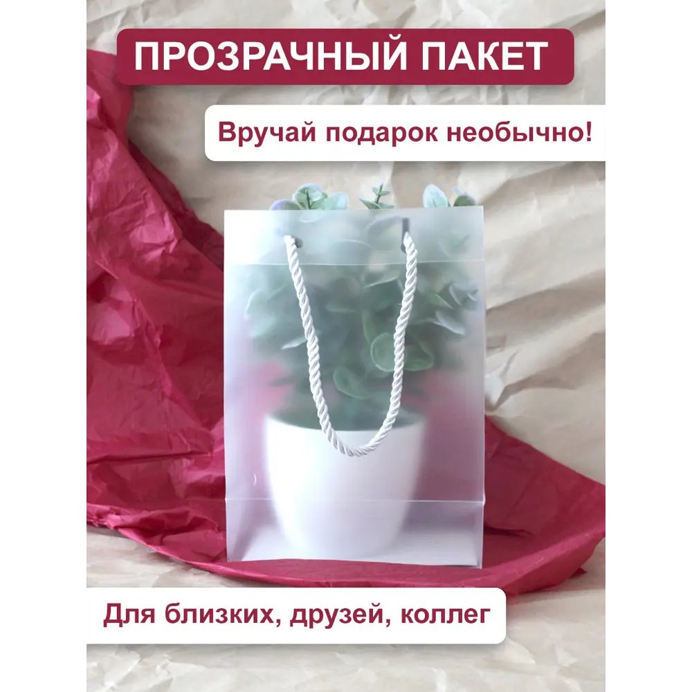 Фото 4 Набор пакетов Симфония прозрачный пластик с ручкой 15x21x8 см 25 шт НПАК-082 Фото 4 Набор пакетов Симфония прозрачный пластик с ручкой 15x21x8 см 25 шт НПАК-082