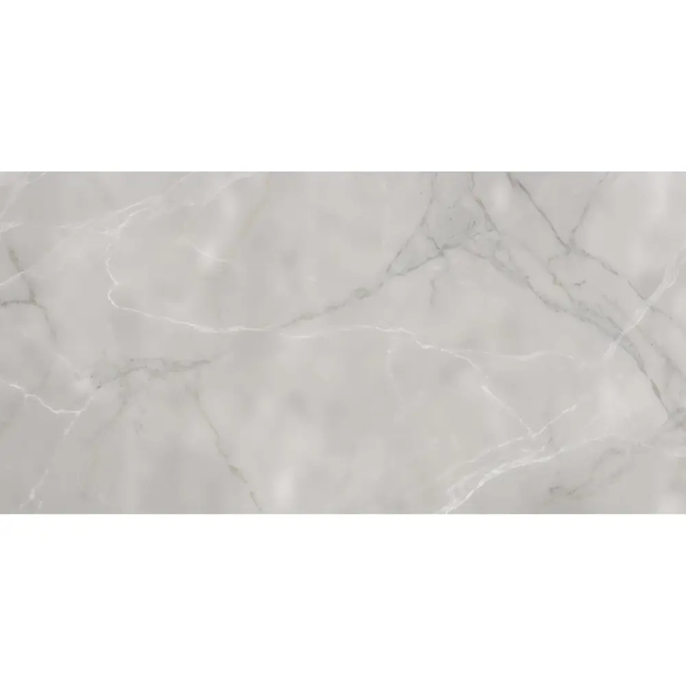 Фото 10 Керамогранит Absolut gres AB 1018G 60x120см 1.44 м² цвет серый, серебристый, цена за упаковку Фото 10 Керамогранит Absolut gres AB 1018G 60x120см 1.44 м² цвет серый, серебристый, цена за упаковку