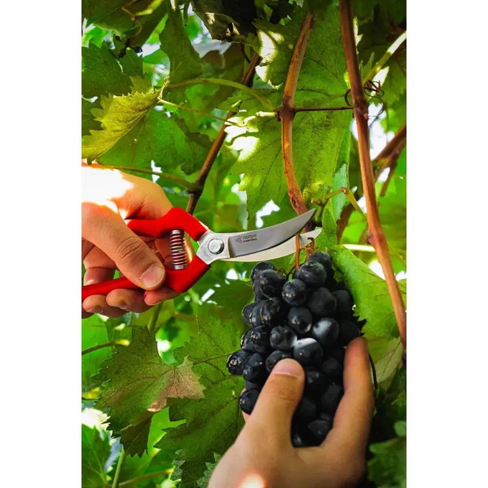 Фото 4 Секатор Obrigado 2465 15 мм