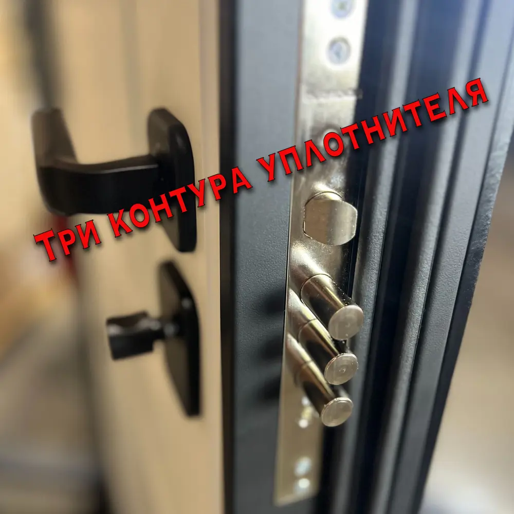 Фото 14 Входная дверь Diva 77 правый 205x96см цвет дуб натуральный/черный/силк маус д7 Фото 14 Входная дверь Diva 77 правый 205x96см цвет дуб натуральный/черный/силк маус д7