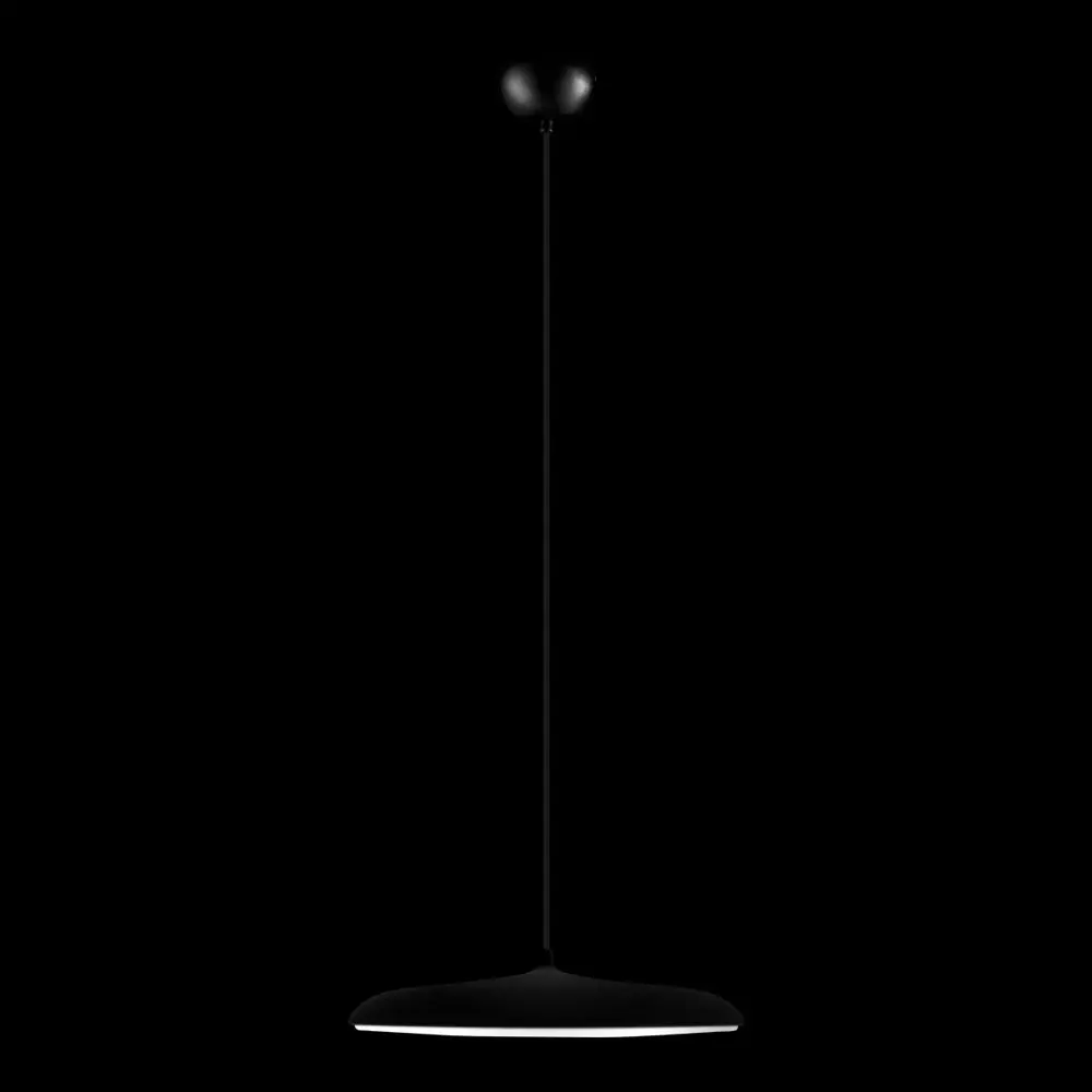 Фото 4 Светильник подвесной светодиодный Loft It 10119 black 11 м² теплый белый (желтый) свет цвет черный Фото 4 Светильник подвесной светодиодный Loft It 10119 black 11 м² теплый белый (желтый) свет цвет черный