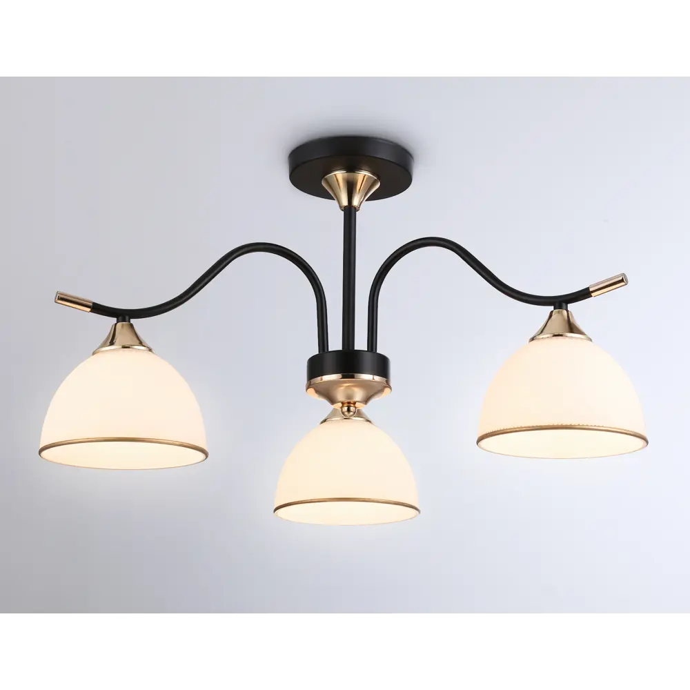 Фото 5 Люстра на штанге светодиодная Ambrella light Tr3161 8 м² нейтральный белый свет цвет черный Фото 5 Люстра на штанге светодиодная Ambrella light Tr3161 8 м² нейтральный белый свет цвет черный
