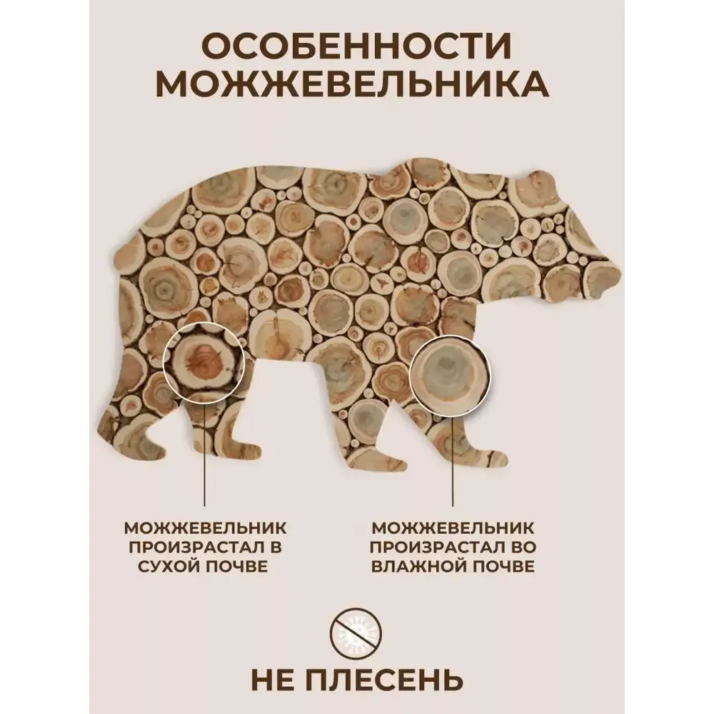Фото 3 Панно из можжевельника Медведь 40x60 см Фото 3 Панно из можжевельника Медведь 40x60 см